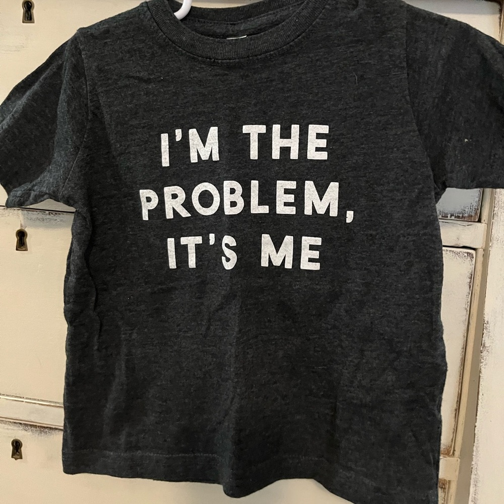 Tullabee 3t Gray Taylor Swift Tshirt